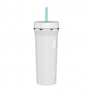 Takeya 32 oz Straw Tumbler Gris | CO0000125