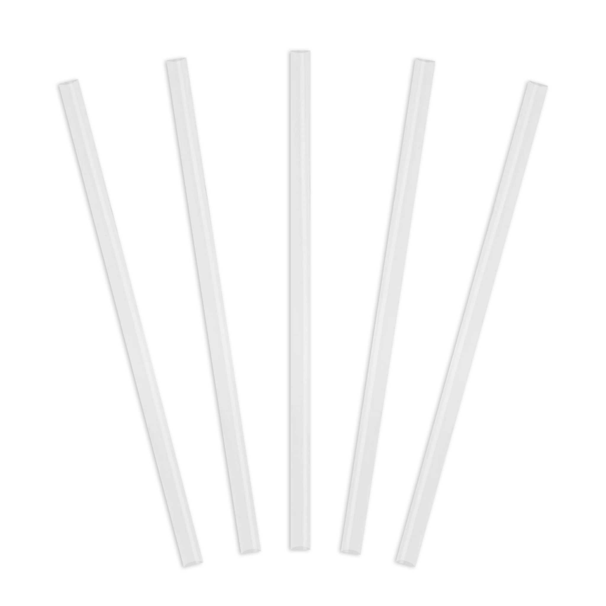 Takeya Bottle Straws 5pk | CO0000276